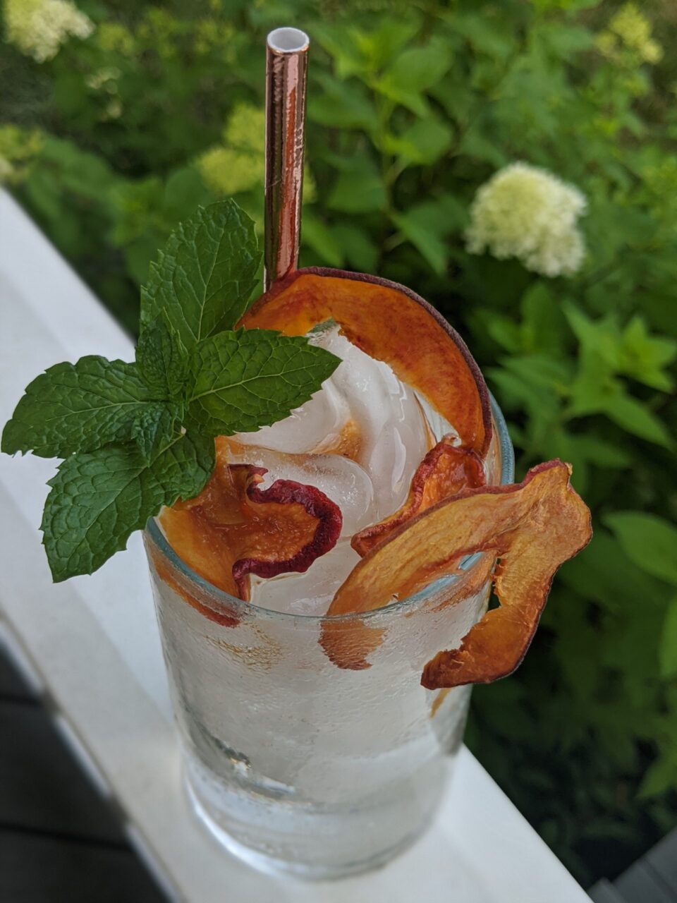 Dehydrated Peach - Image 4